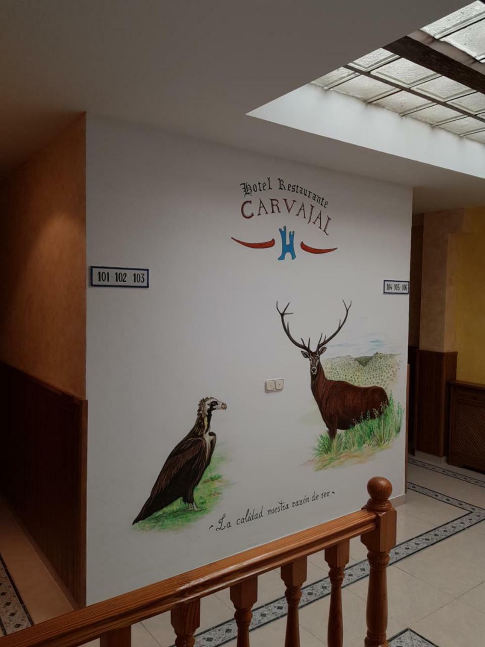 Hotel Carvajal Торрехон-ель-Рубіо Екстер'єр фото